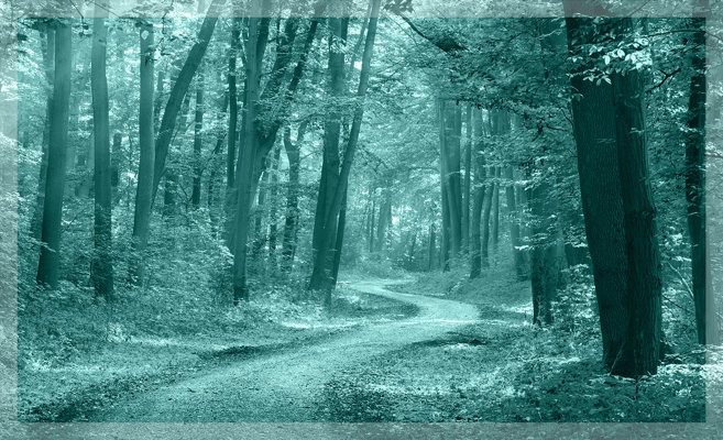 Pg5 - Path